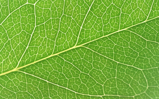581733 (a): :1920x1200